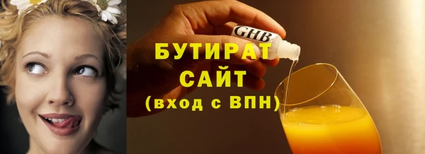 индика Богородицк