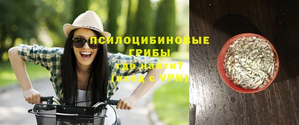 mdpv Пролетарск