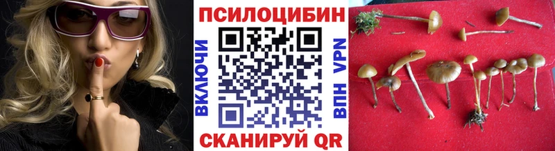 купить наркоту  Новомосковск  Псилоцибиновые грибы MAGIC MUSHROOMS 