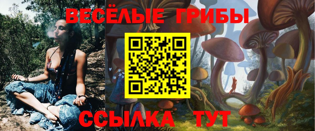 купить наркоту  Вход с VPN  Новомосковск  Галлюциногенные грибы ЛСД 