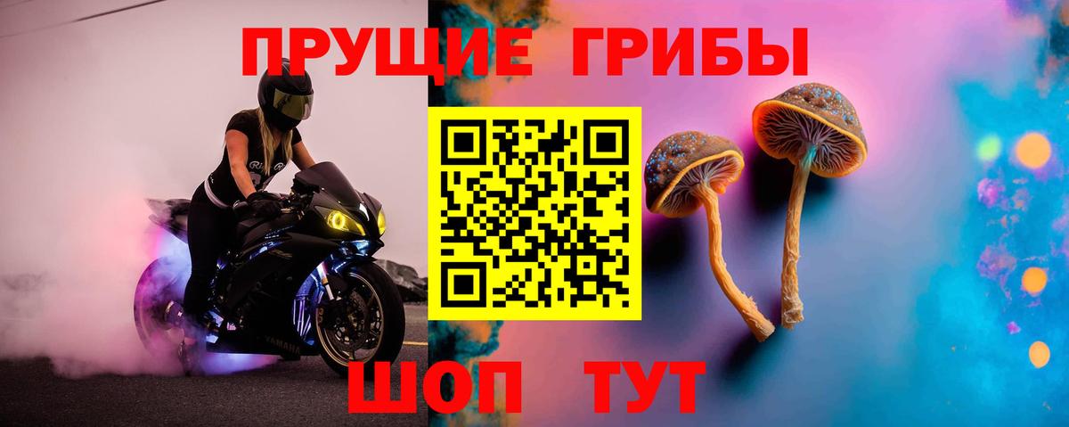 Галлюциногенные грибы Cubensis  Новомосковск 